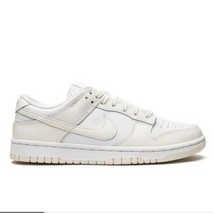 Nike Dunks Low Top Sneakers